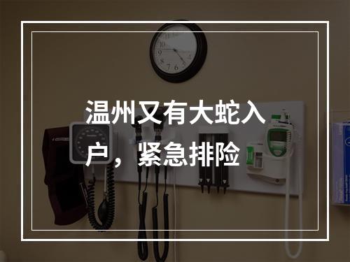 温州又有大蛇入户，紧急排险