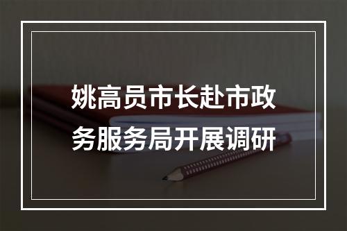 姚高员市长赴市政务服务局开展调研