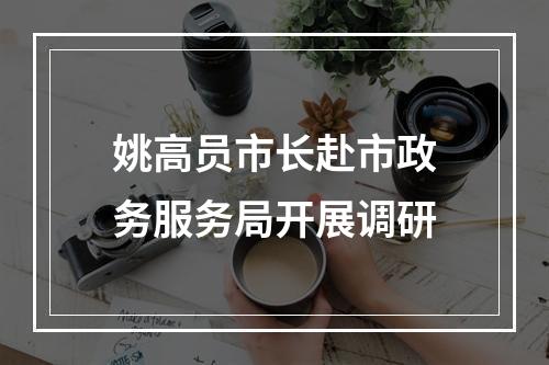 姚高员市长赴市政务服务局开展调研