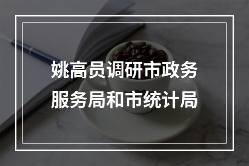 姚高员调研市政务服务局和市统计局