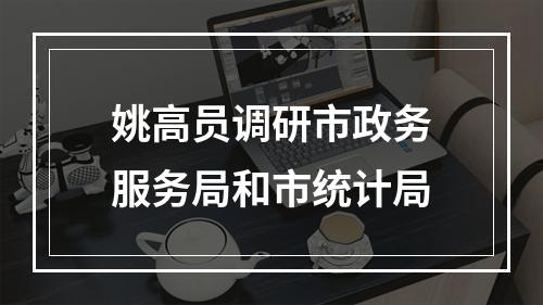 姚高员调研市政务服务局和市统计局