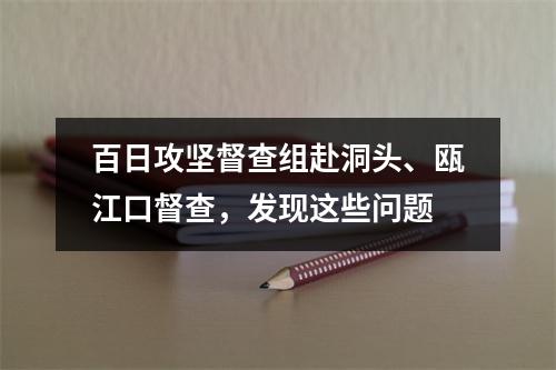 百日攻坚督查组赴洞头、瓯江口督查，发现这些问题