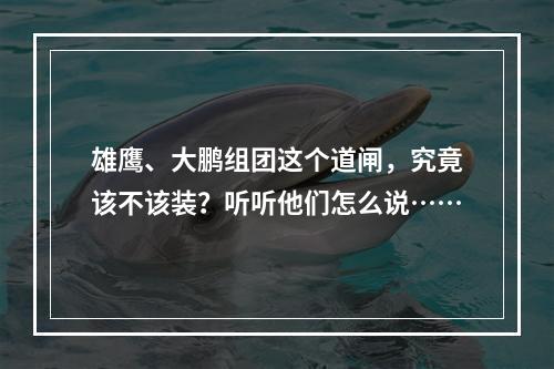 雄鹰、大鹏组团这个道闸，究竟该不该装？听听他们怎么说……