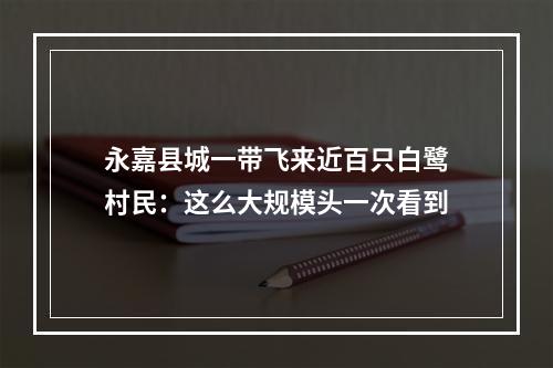 永嘉县城一带飞来近百只白鹭村民：这么大规模头一次看到