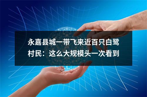 永嘉县城一带飞来近百只白鹭村民：这么大规模头一次看到