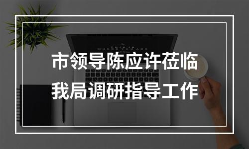 市领导陈应许莅临我局调研指导工作