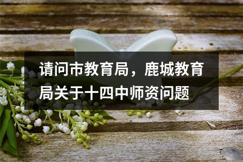 请问市教育局，鹿城教育局关于十四中师资问题