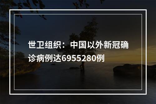 世卫组织：中国以外新冠确诊病例达6955280例