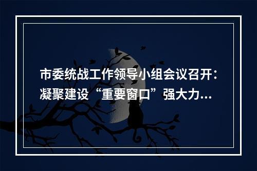 市委统战工作领导小组会议召开：凝聚建设“重要窗口”强大力量