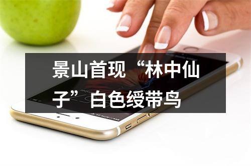 景山首现“林中仙子”白色绶带鸟