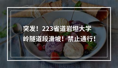 突发！223省道岩坦大学岭隧道段滑坡！禁止通行！