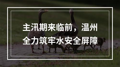 主汛期来临前，温州全力筑牢水安全屏障