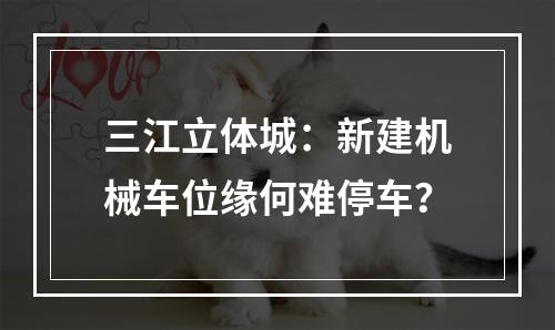 三江立体城：新建机械车位缘何难停车？