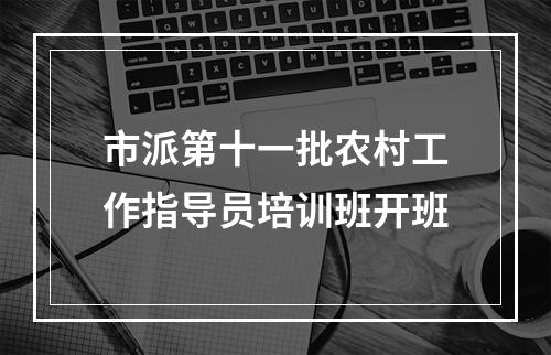 市派第十一批农村工作指导员培训班开班