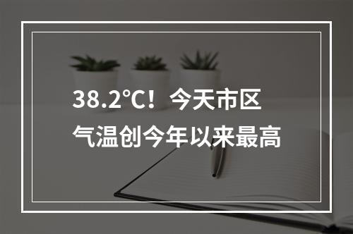 38.2℃！今天市区气温创今年以来最高