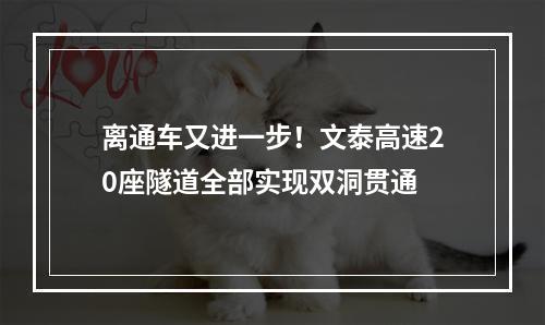 离通车又进一步！文泰高速20座隧道全部实现双洞贯通