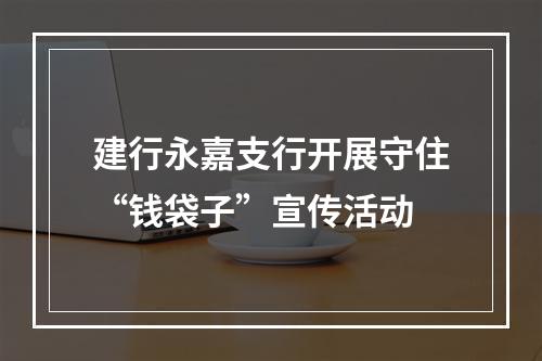建行永嘉支行开展守住“钱袋子”宣传活动