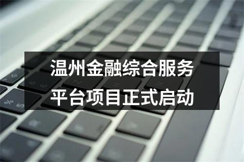 温州金融综合服务平台项目正式启动