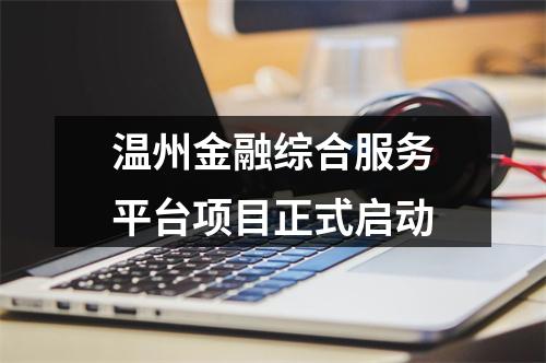 温州金融综合服务平台项目正式启动