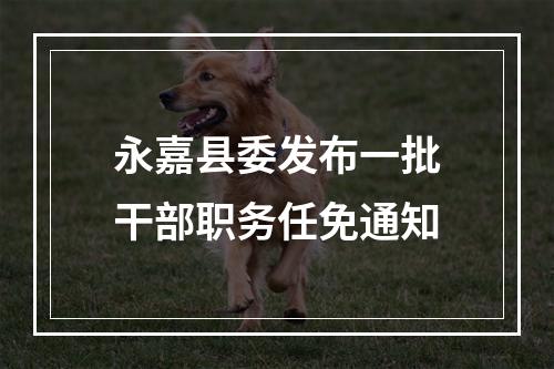永嘉县委发布一批干部职务任免通知