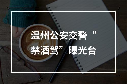 温州公安交警“禁酒驾”曝光台