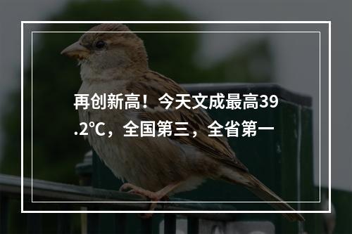 再创新高！今天文成最高39.2℃，全国第三，全省第一