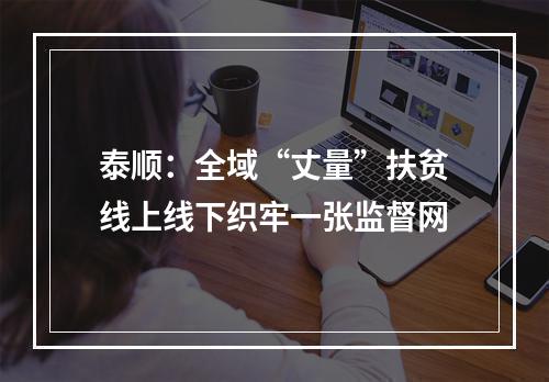泰顺：全域“丈量”扶贫线上线下织牢一张监督网