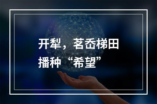 开犁，茗岙梯田播种“希望”
