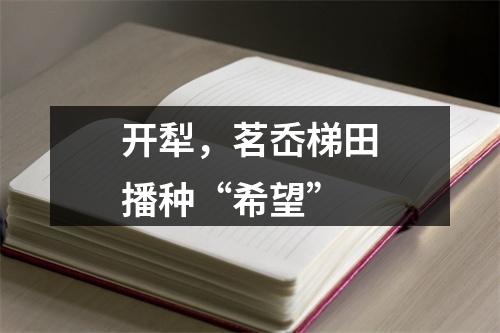 开犁，茗岙梯田播种“希望”