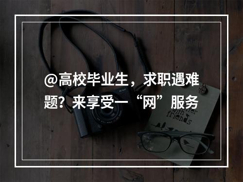 @高校毕业生，求职遇难题？来享受一“网”服务