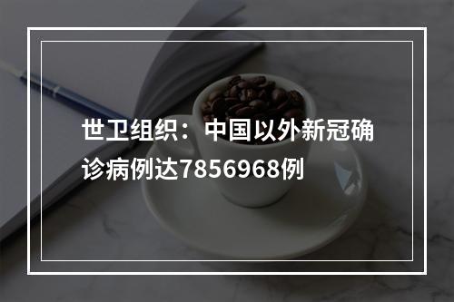 世卫组织：中国以外新冠确诊病例达7856968例