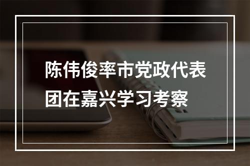 陈伟俊率市党政代表团在嘉兴学习考察