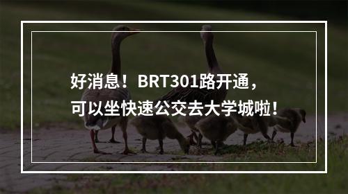 好消息！BRT301路开通，可以坐快速公交去大学城啦！
