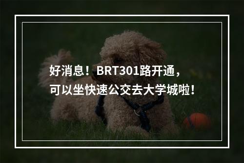 好消息！BRT301路开通，可以坐快速公交去大学城啦！