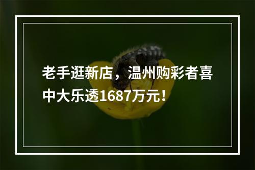 老手逛新店，温州购彩者喜中大乐透1687万元！