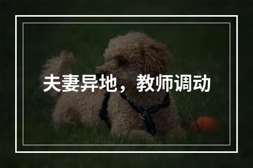 夫妻异地，教师调动