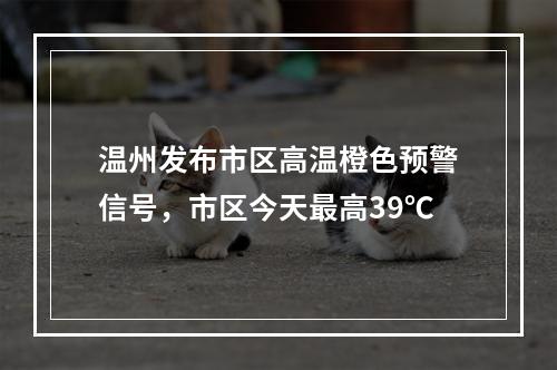 温州发布市区高温橙色预警信号，市区今天最高39℃