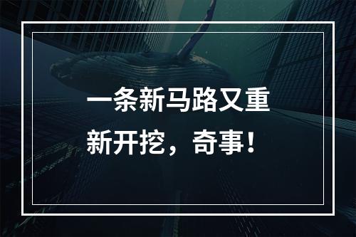 一条新马路又重新开挖，奇事！