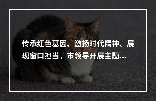传承红色基因、激扬时代精神、展现窗口担当，市领导开展主题党日活动