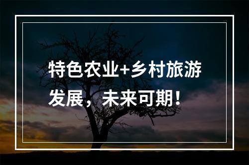 特色农业+乡村旅游发展，未来可期！