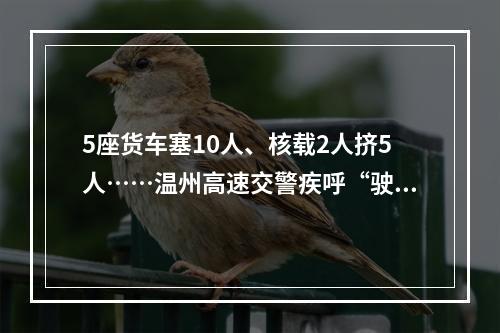 5座货车塞10人、核载2人挤5人……温州高速交警疾呼“驶不得”！