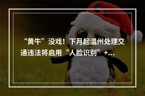 “黄牛”没戏！下月起温州处理交通违法将启用“人脸识别”+“三证合一”审 ...