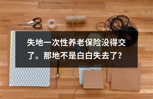 失地一次性养老保险没得交了。那地不是白白失去了？