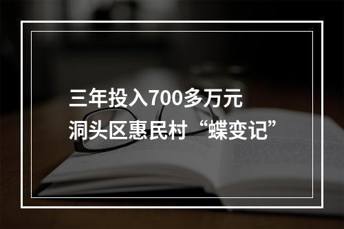三年投入700多万元 洞头区惠民村“蝶变记”