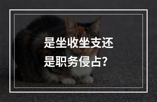 是坐收坐支还是职务侵占？