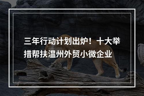 三年行动计划出炉！十大举措帮扶温州外贸小微企业