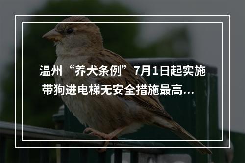 温州“养犬条例”7月1日起实施 带狗进电梯无安全措施最高罚500元