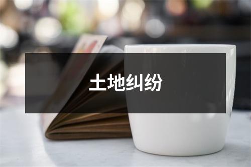土地纠纷