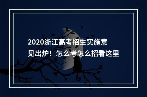 2020浙江高考招生实施意见出炉！怎么考怎么招看这里