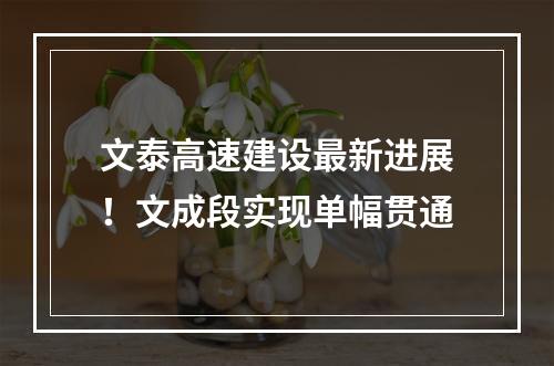 文泰高速建设最新进展！文成段实现单幅贯通